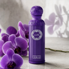 Gissah Voila — botanical